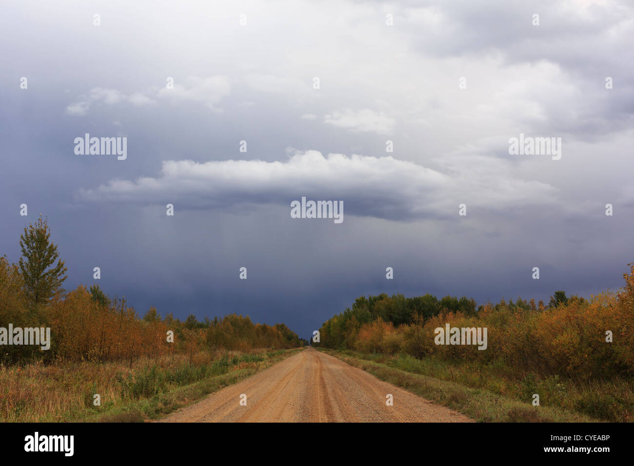 Rural road in Northern Minnesota under storm clouds. Stock Photo