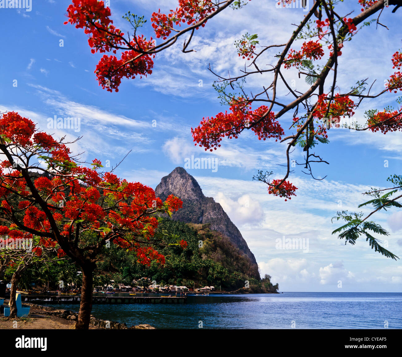 8389. The Pitons, Soufriere, St Lucia, Caribbean, West Indies Stock