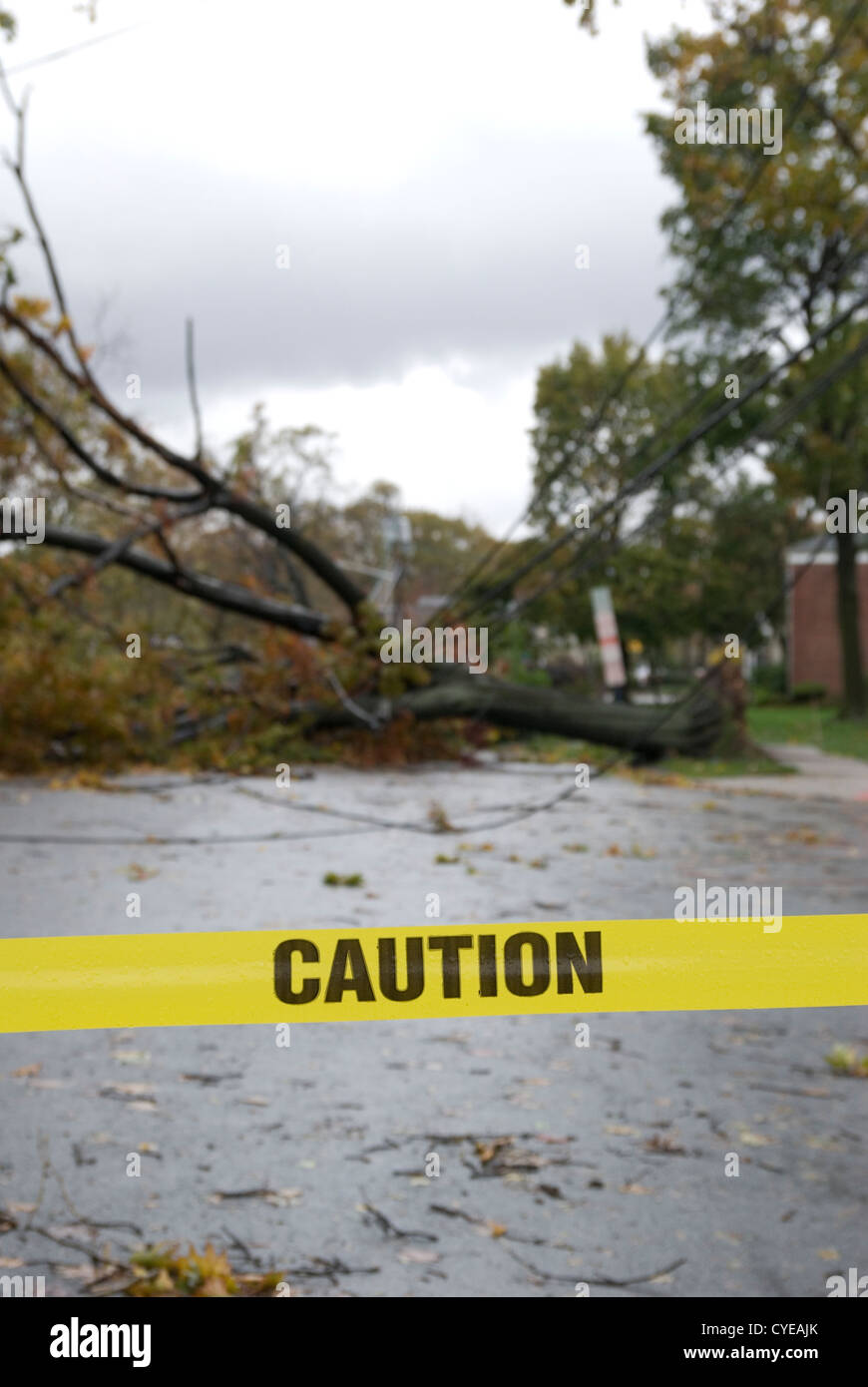 Trees and power lines downed by Hurricane Sandy in a New Jersey town. Stock Photo