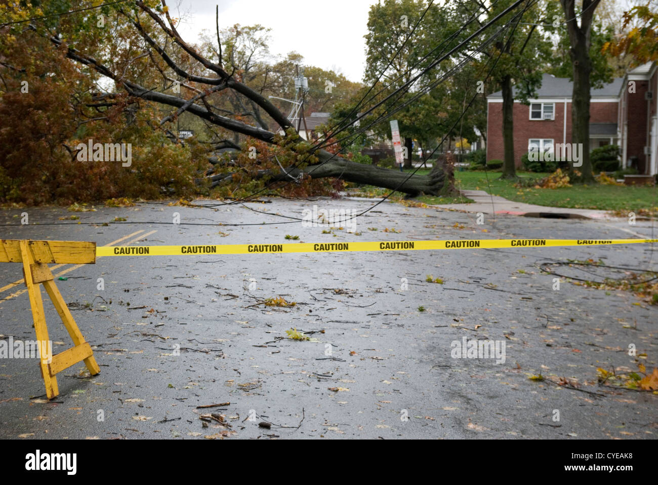 Trees and power lines downed by Hurricane Sandy in a New Jersey town. Stock Photo