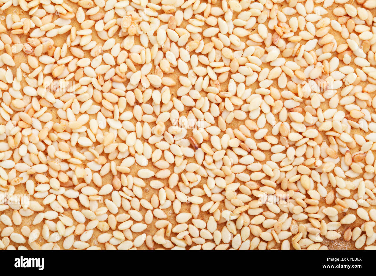 Cesame Color Sesame closeup hi-res stock photography and images - Alamy