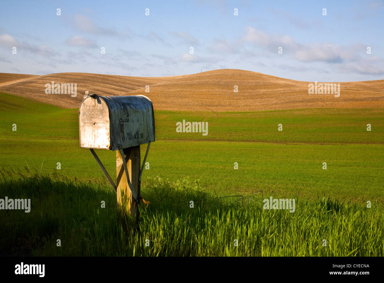 WA05484-00...WASHINGTON - Mailbox at the edge of grain fields near the town of Steptoe in the agricultural Palouse region. Stock Photo