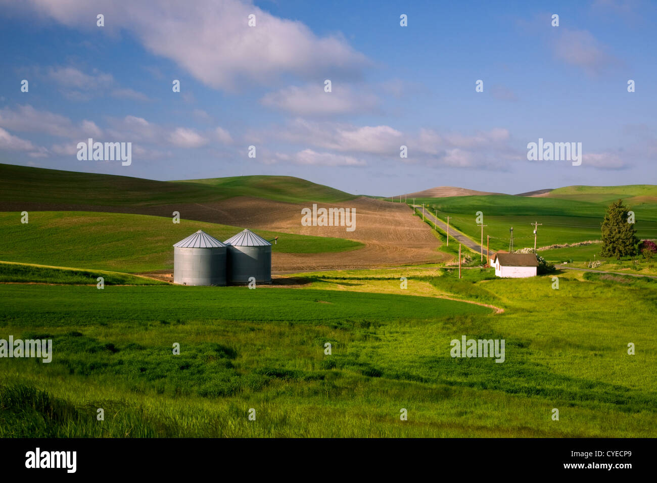 WA05486-00...WASHINGTON - Grain silos in a field near Steptoe in the agricultural Palouse region. Stock Photo