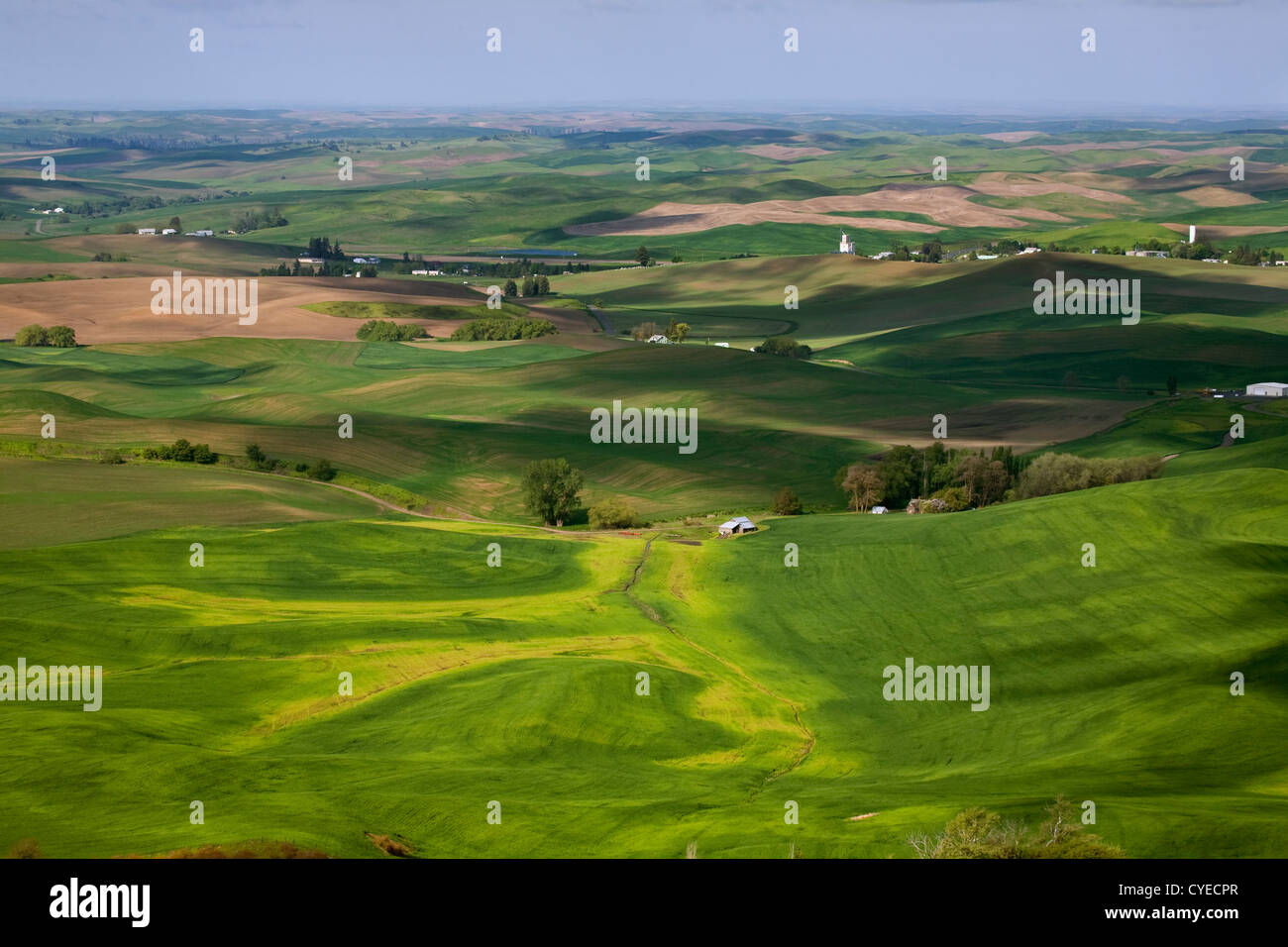 WA05490-00...WASHINGTON - View over the farm covered rolling hills of the Palouse from Steptoe Butte State Park. Stock Photo