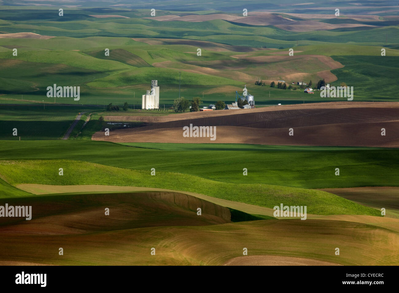 WA05492-00...WASHINGTON - View over the farm covered rolling hills of the Palouse from Steptoe Butte State Park. Stock Photo