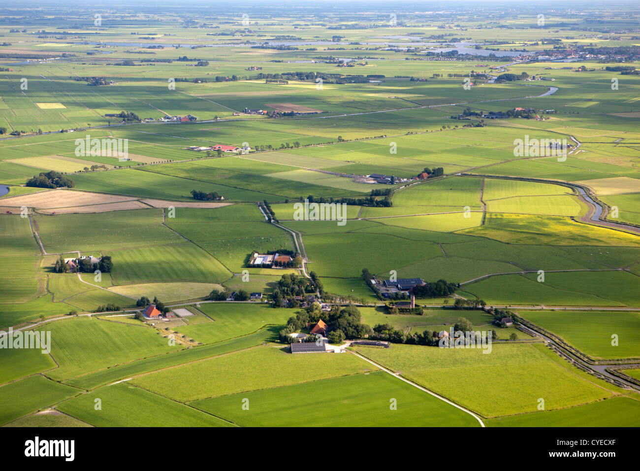 The Netherlands, near Wirdum, Farms and farmland. Aerial. Stock Photo