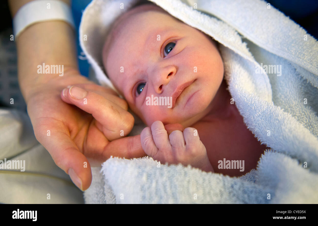 A new born baby touches holds mother for the first time moments after being born Stock Photo Alamy