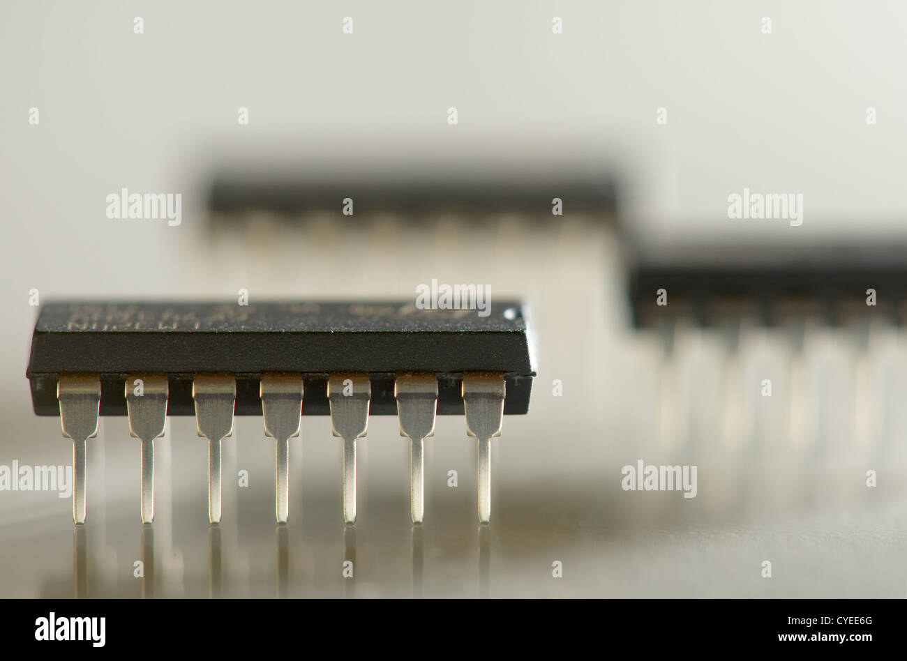 Close up macro photo of 14 pin microcircuits Stock Photo Alamy