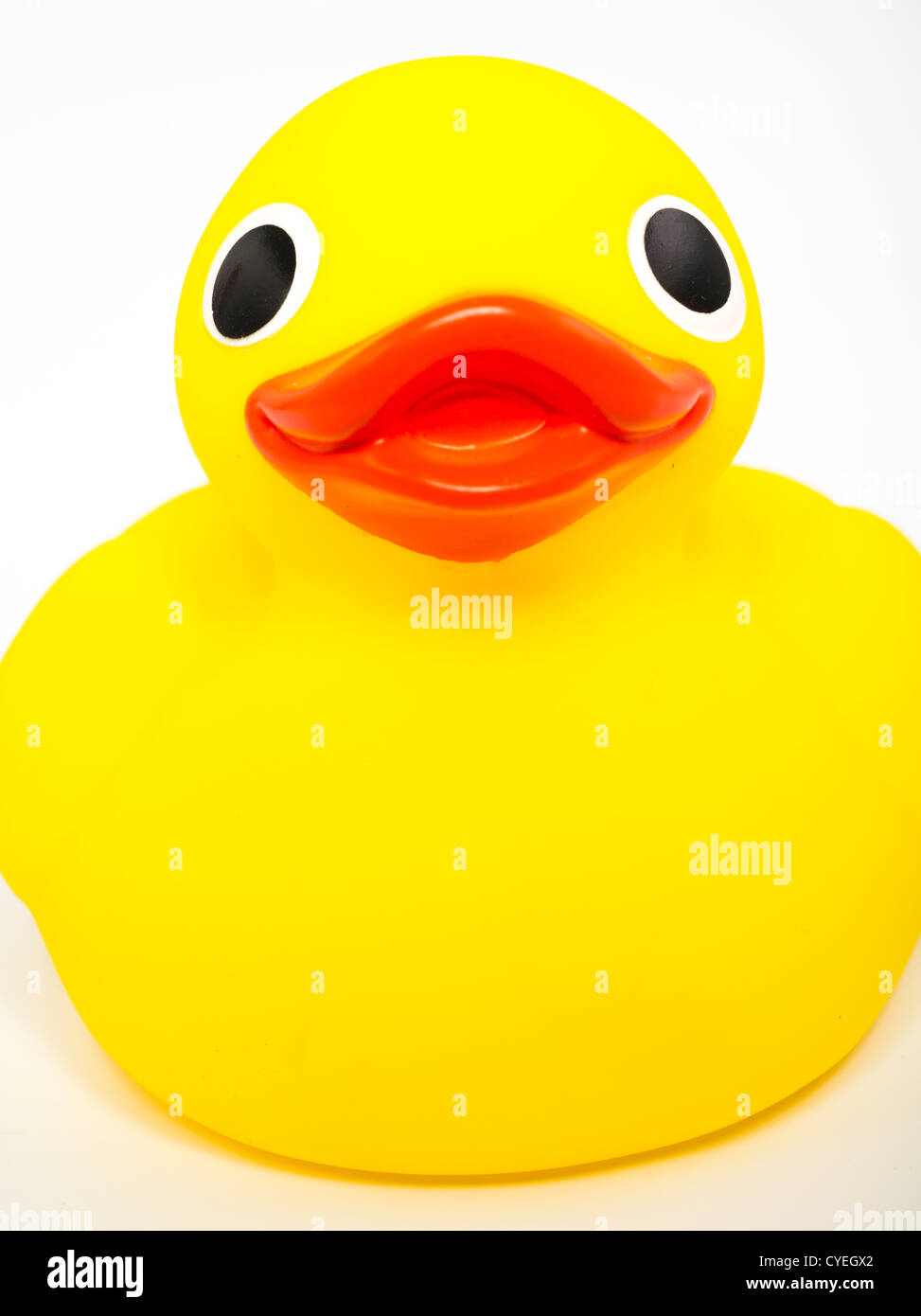 Yellow Rubber Ducky bath toy Stock Photo