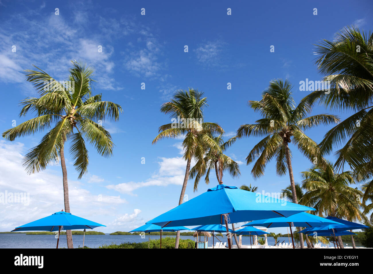 parasols at private beach surrounded by palm trees islamorada florida keys usa Stock Photo