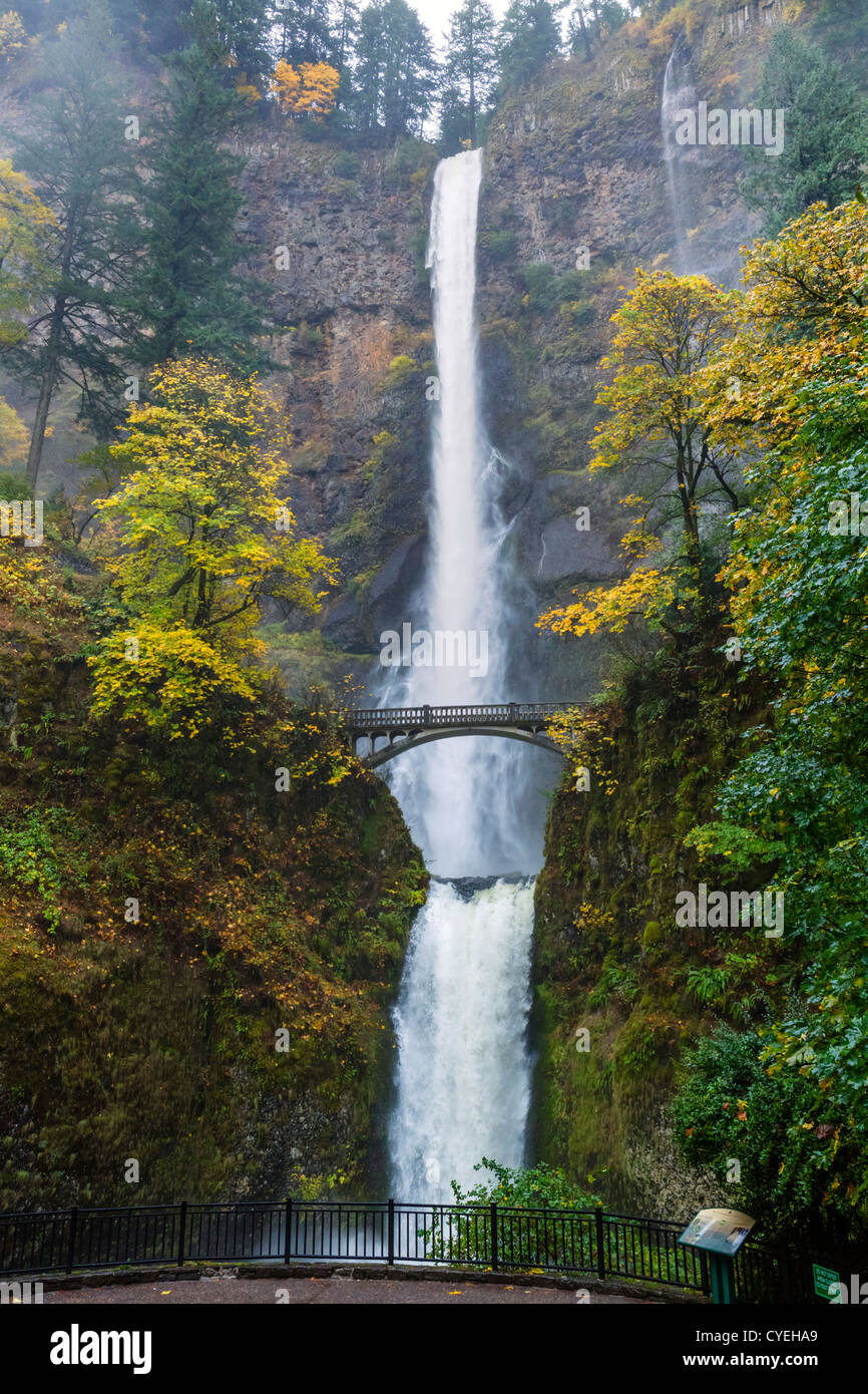 Multnomah Falls, Columbia River Gorge, Multnomah County, Oregon, USA Stock Photo