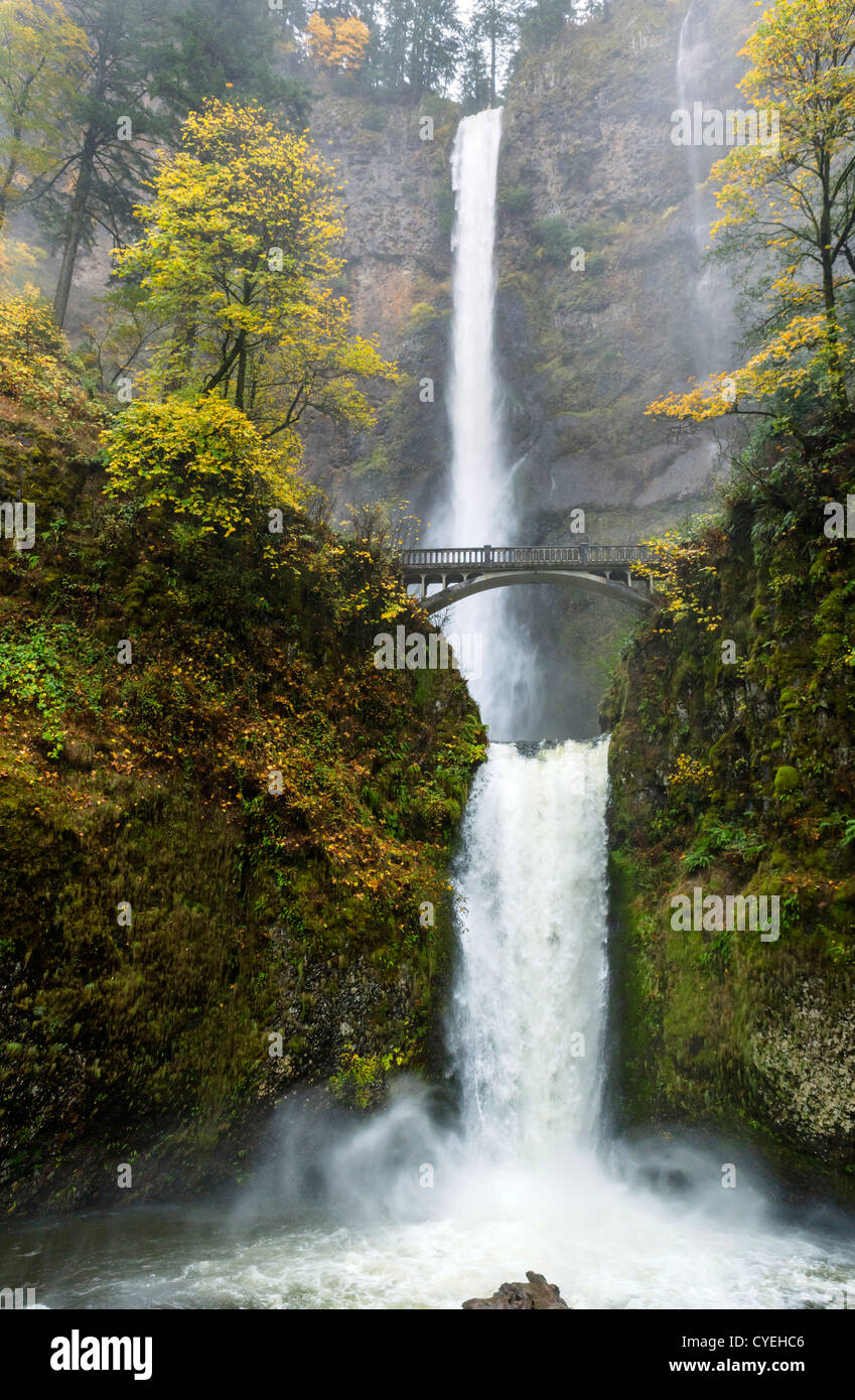 are dogs allowed at multnomah falls