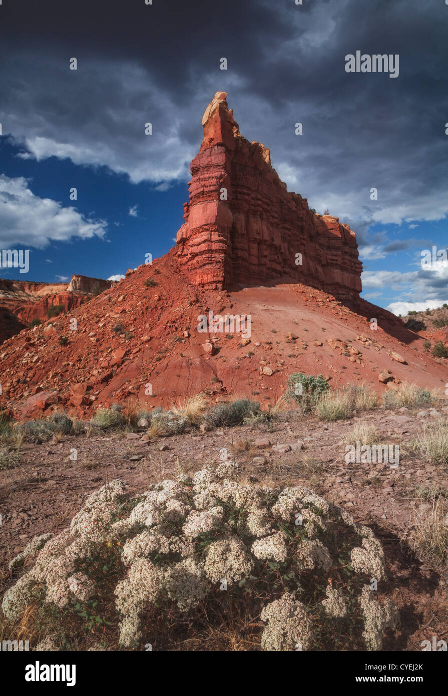 Red Rocks area in New Mexico Stock Photo Alamy