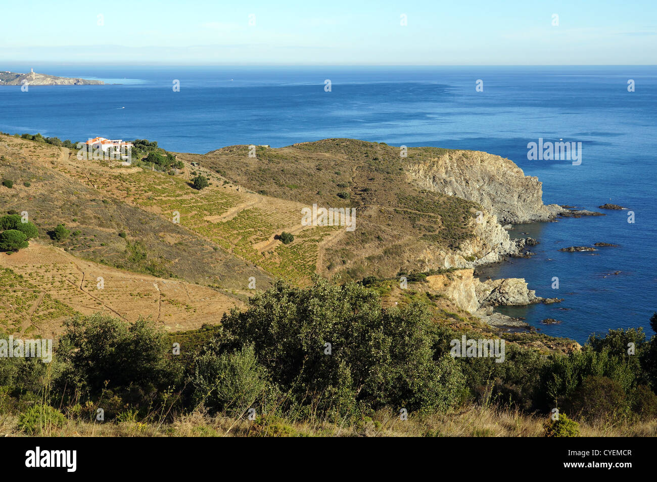 View over the marine reserve of Cerbere-Banyuls in the Mediterranean sea, Roussillon, Vermilion coast, France Stock Photo