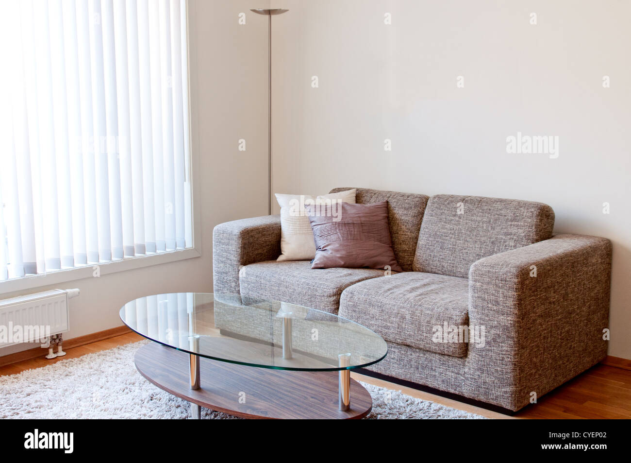 Modern minimalist living-room with beige furniture Stock Photo