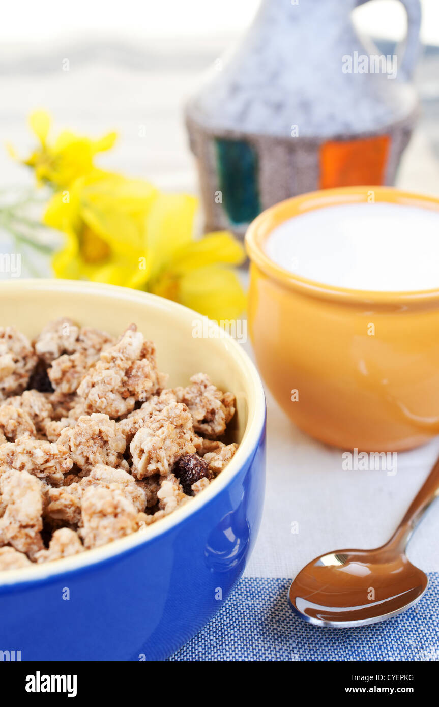 Muesli with raisins and milk Stock Photo Alamy