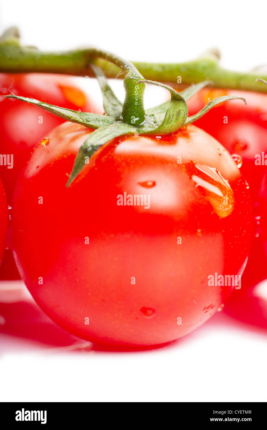 Tomato Cherry Ripe A fresh ripe cherry tomato on a branch over white background Stock ...