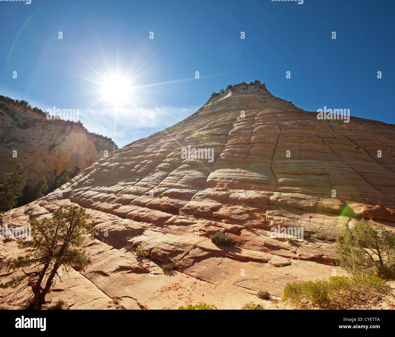 Zion national park desert hi-res stock photography and images - Alamy