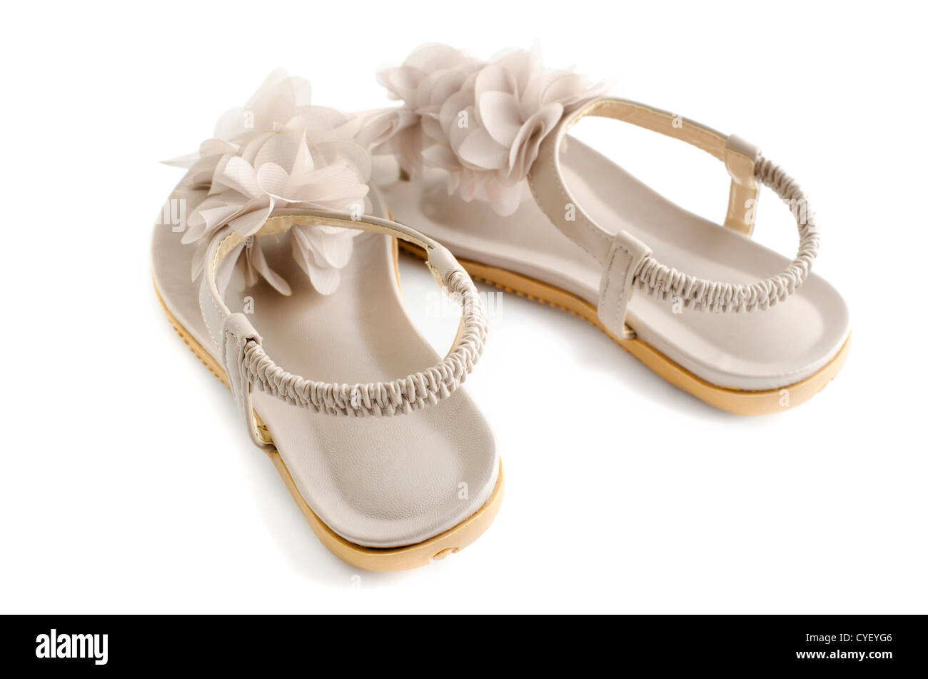 Woman flat shoes on white background Stock Photo - Alamy