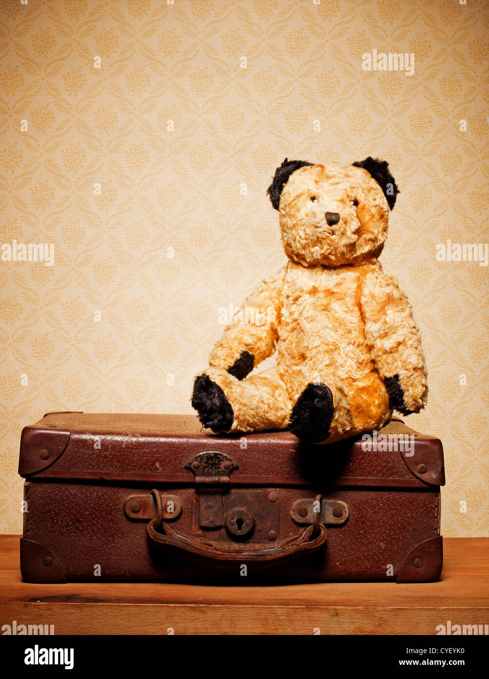 Old vintage teddy bear and old leather suitcase, bygones and memorabilia  Stock Photo - Alamy
