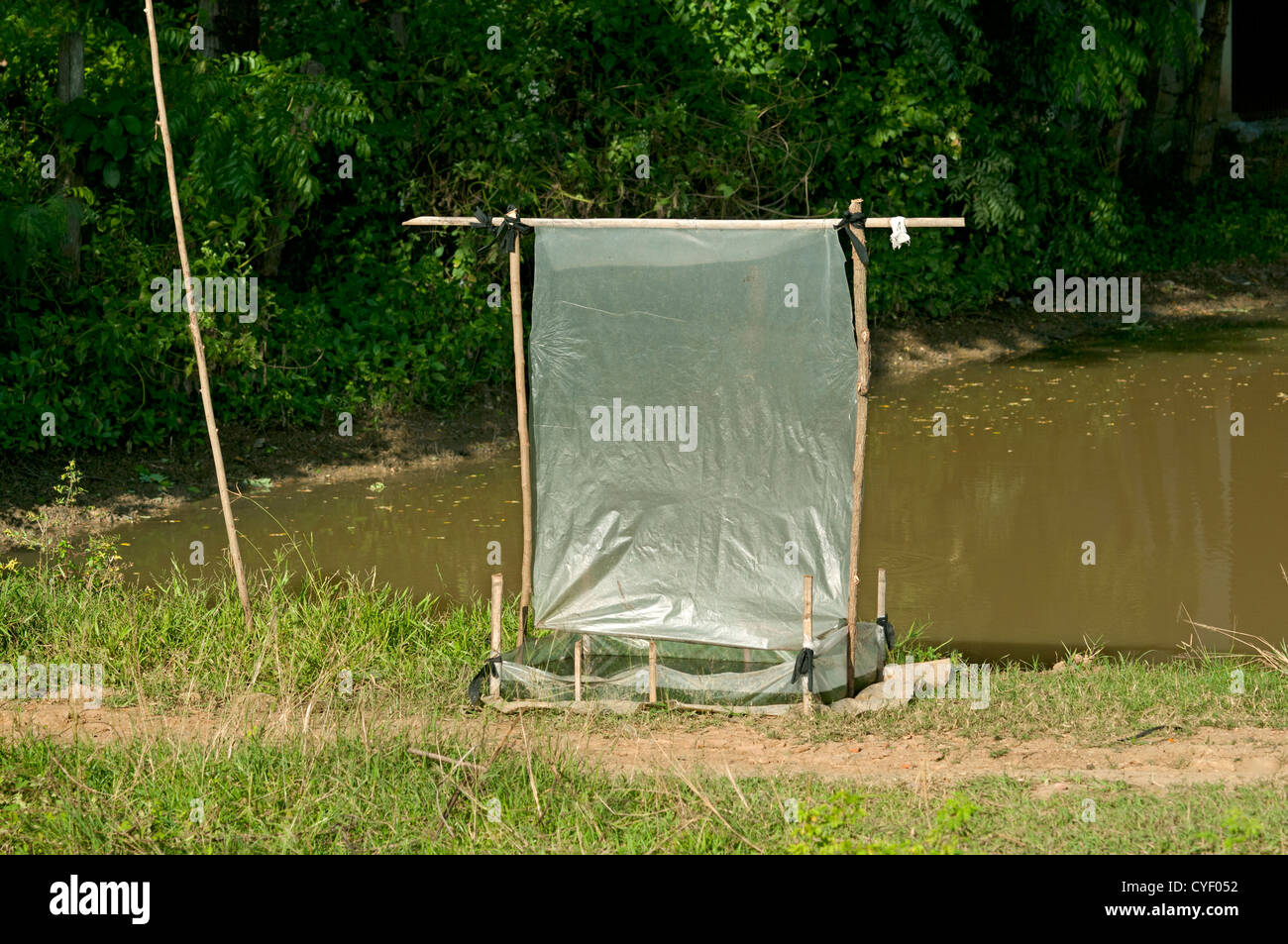 Plastic sheet as night trap for insects, which are eaten as a delicacy, Battambang, Cambodia Stock Photo