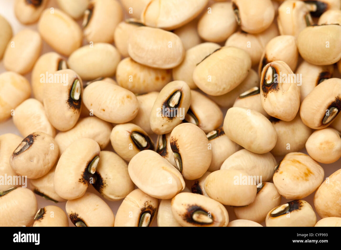 Yellow beans background Stock Photo