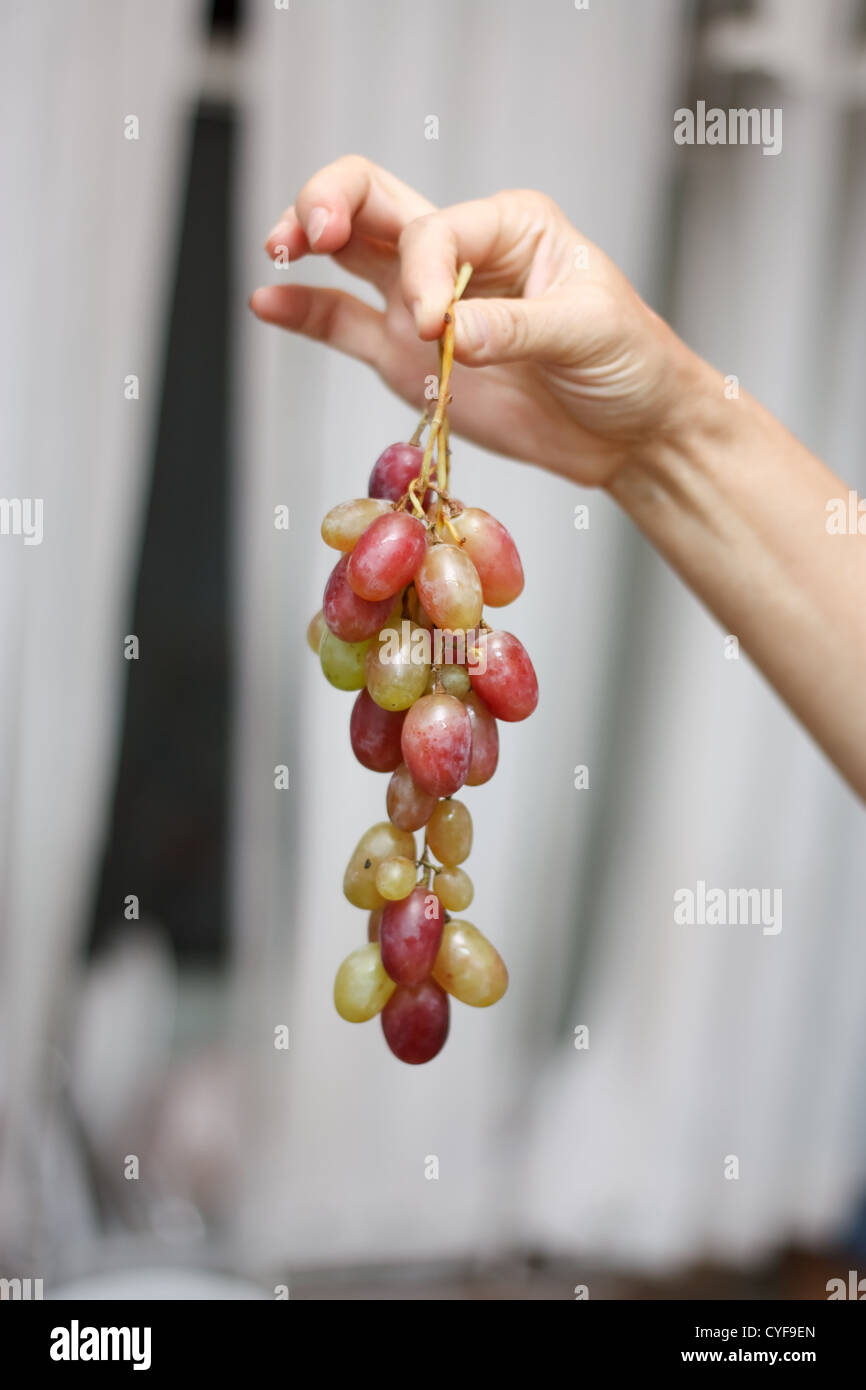 Hands peel red onion in hi-res stock photography and images - Alamy