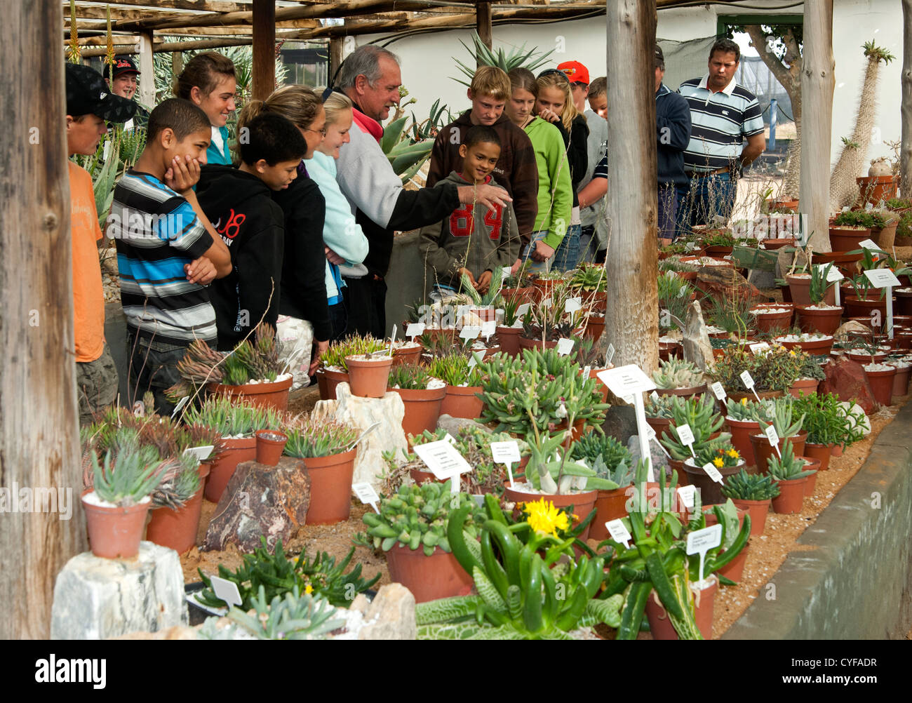 A school class on excursion in the green houses of the Kokerboom Succulent Nursery in Vanrhynsdorp, Western Cape, South Africa Stock Photo