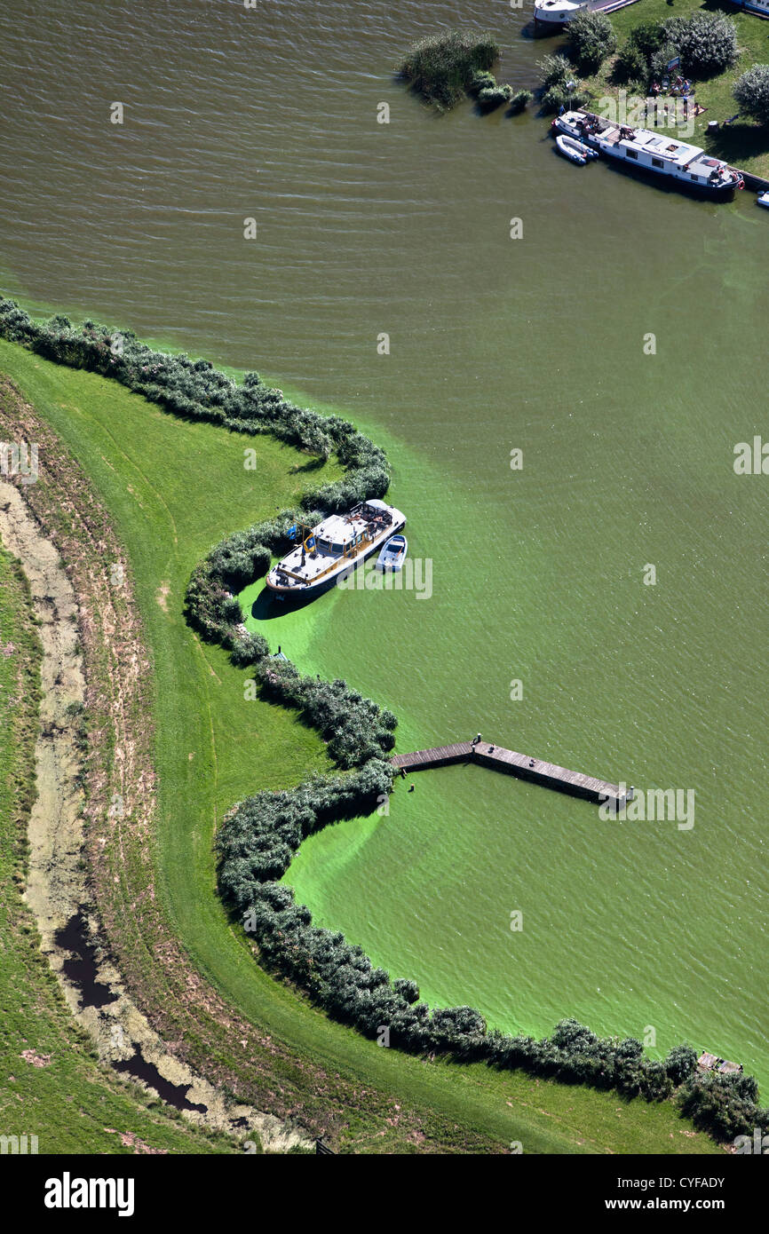 The Netherlands, Akersloot, lake called Alkmaardermeer. Yachts anchored near island. Aerial. Stock Photo