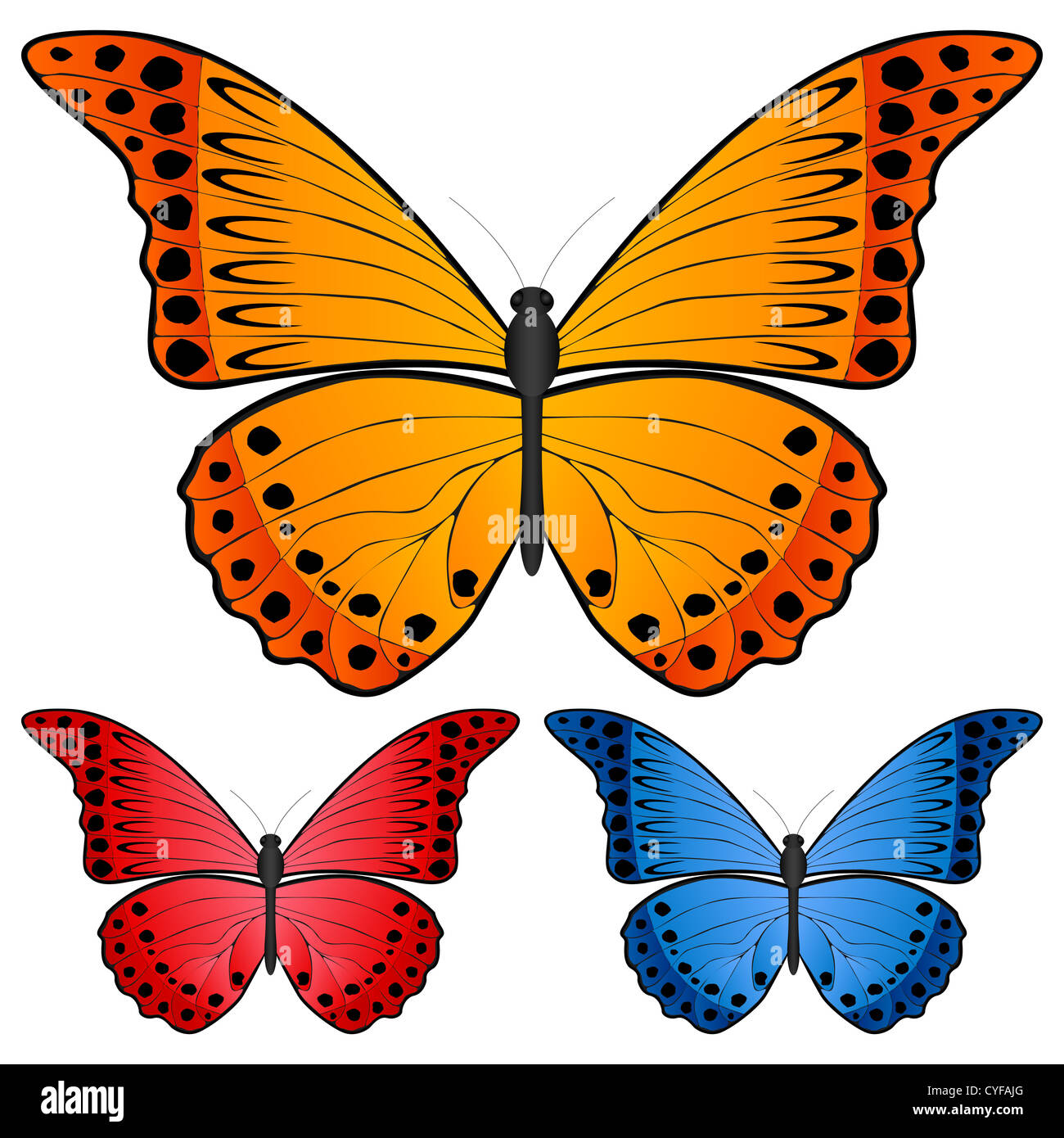 Butterfly set isolated on white background, Vector illustration Stock ...