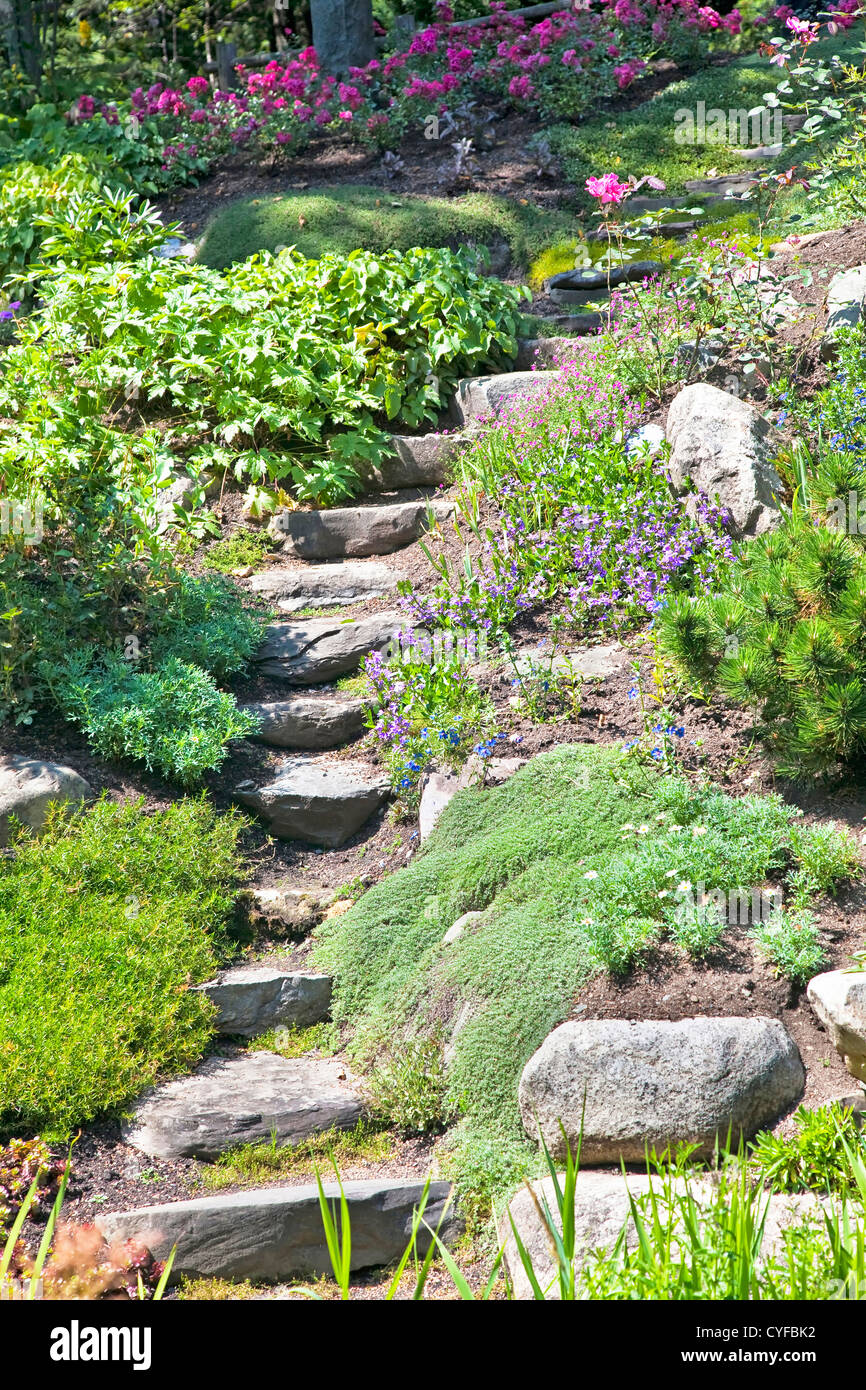 Stone stairs going up a small hill in a perennial alpine rock garden. Stock Photo