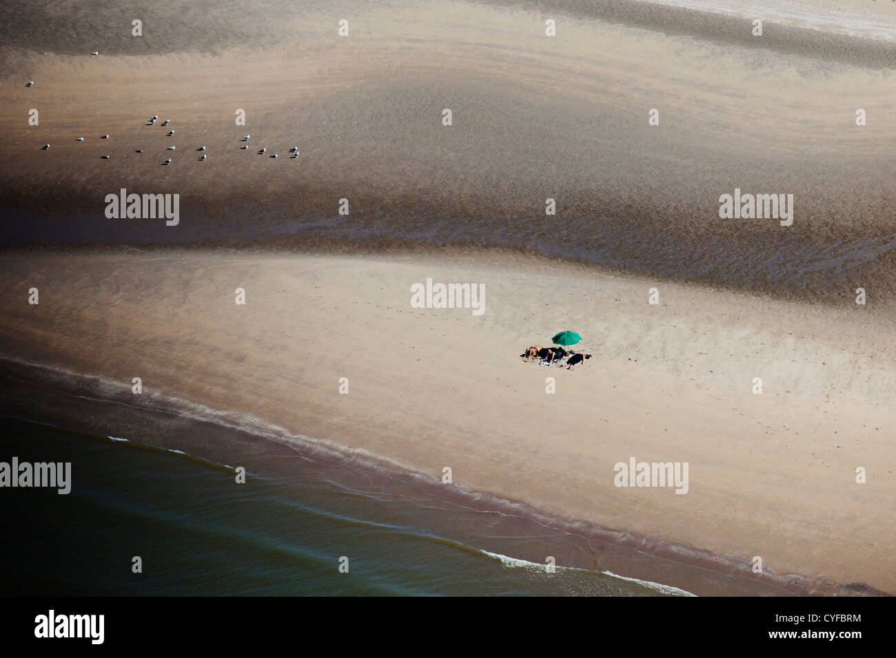 The Netherlands, Monster, Ter Heijde. People sunbathing on beach of North Sea. Aerial. Stock Photo