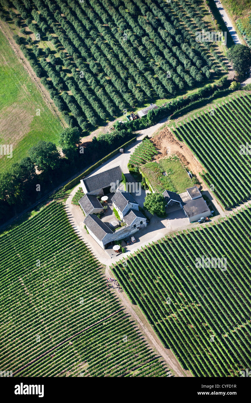The Netherlands, Maastricht, Wine estate called Apostelhoeve. Aerial