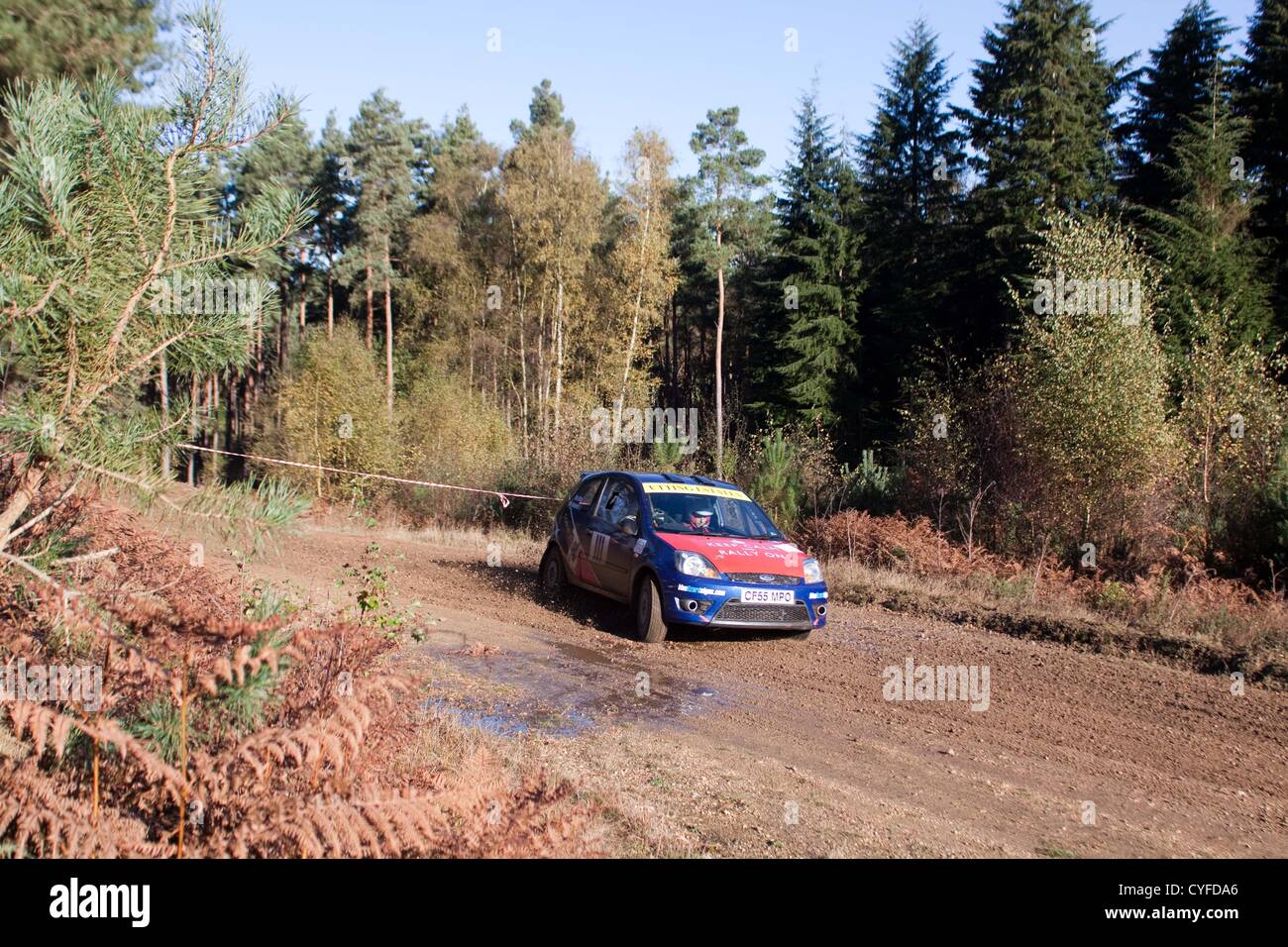 Cars competing in the Tempest Rally which is a forest based multi-venue ...