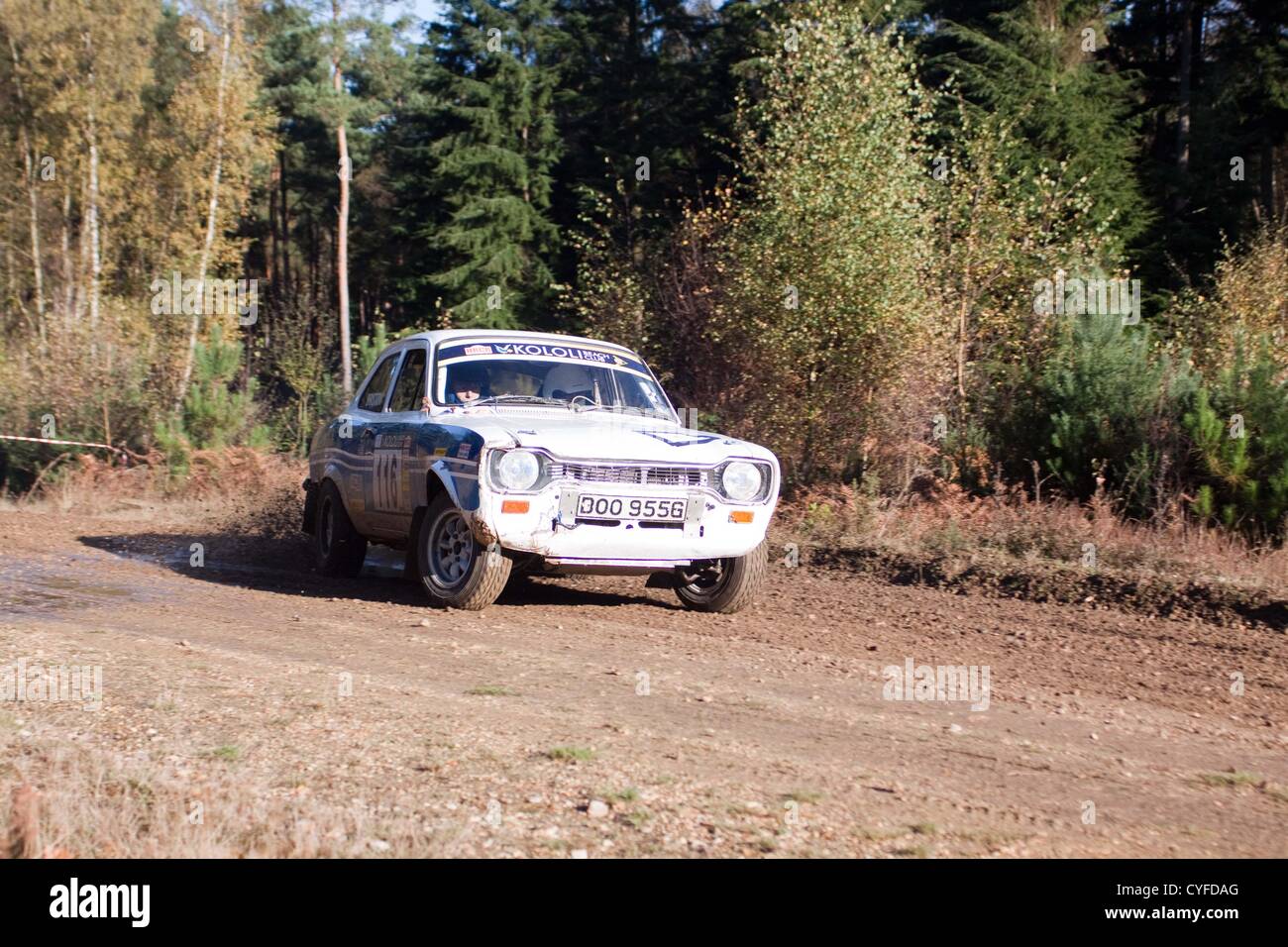 Cars competing in the Tempest Rally which is a forest based multi-venue ...