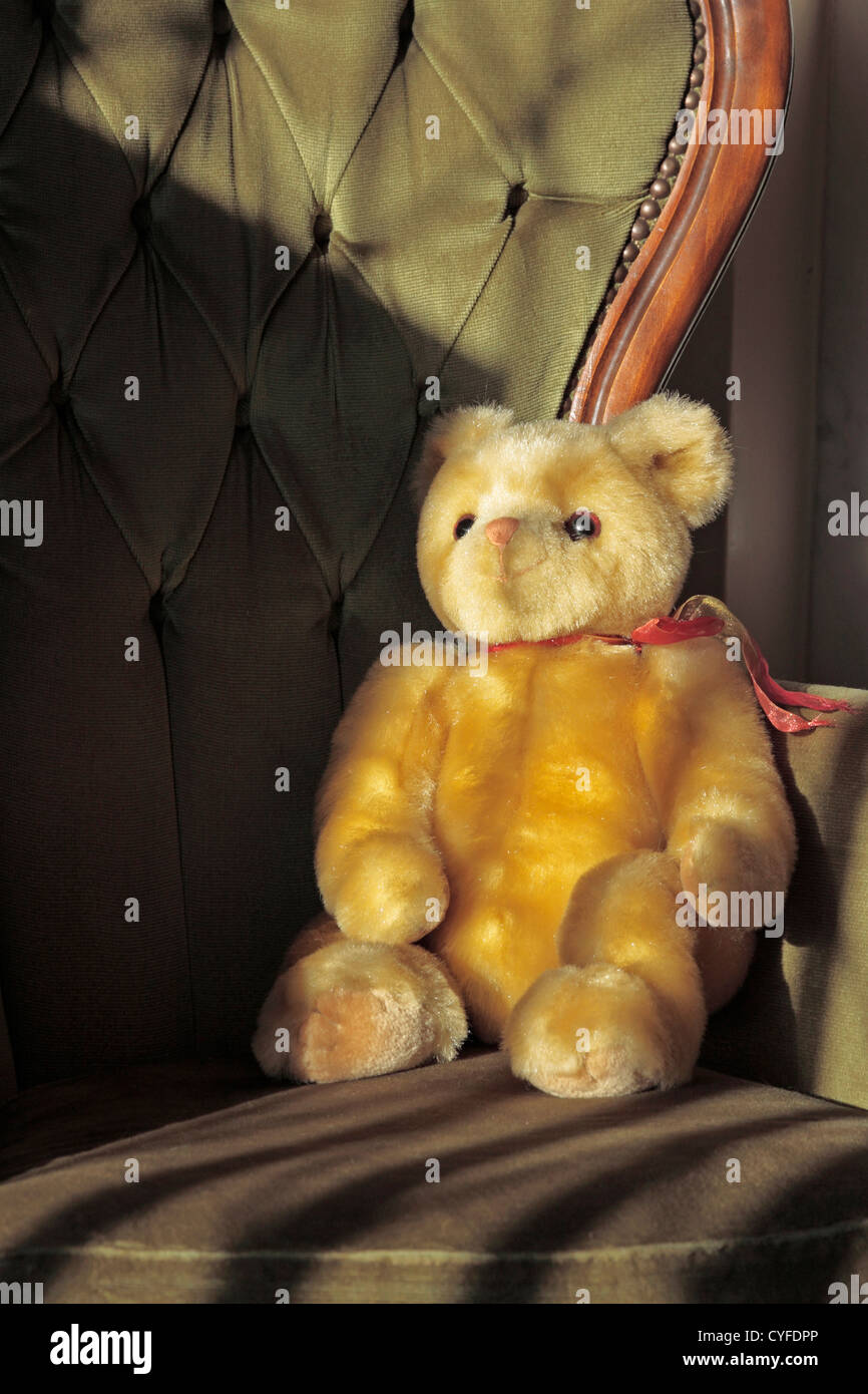 Teddy Bear on Chair in strong sunlight through leaded window Stock Photo