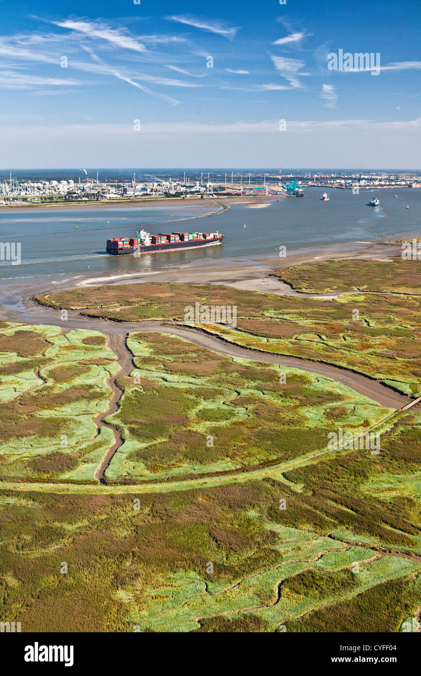 The Netherlands, Nieuw Namen, Container boat in Westerschelde river. Industrial area of Antwerp ( Belgium ) and tidal marshland. Stock Photo