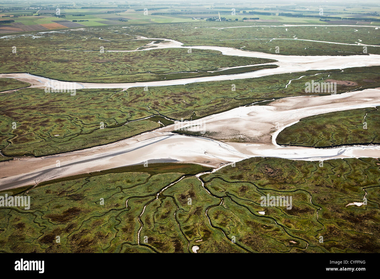 The Netherlands, Nieuw Namen, Westerschelde river. Tidal marshland. Aerial. Stock Photo