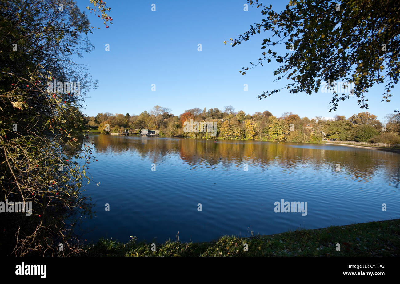 Hampstead Heath pond on an autumn afternoon, London, England, UK Stock Photo