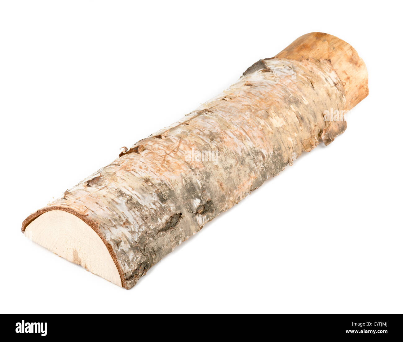 One log of birch and white background. Stock Photo