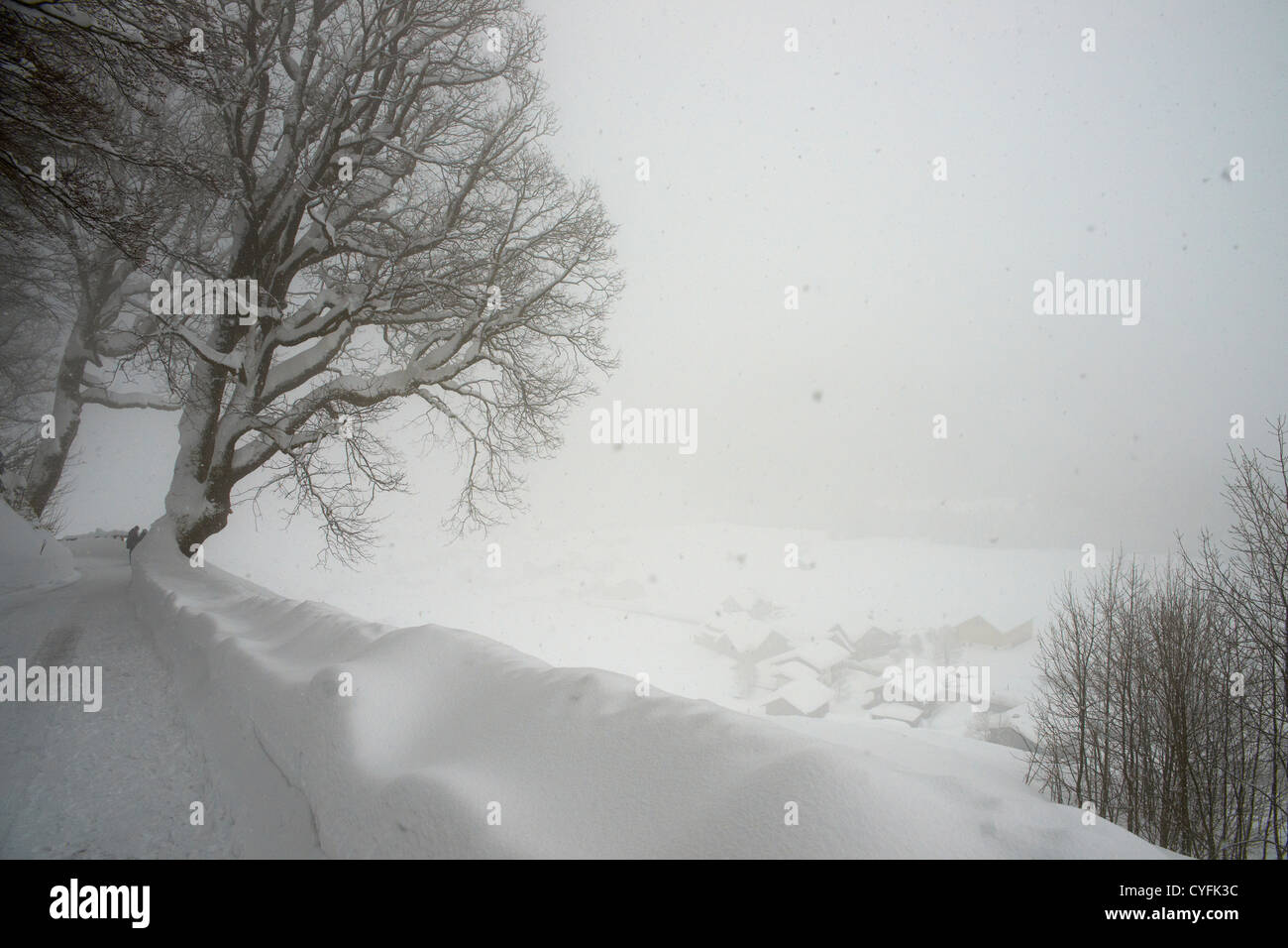 Heavy snowfall in the Kleinwalsertal valley Stock Photo