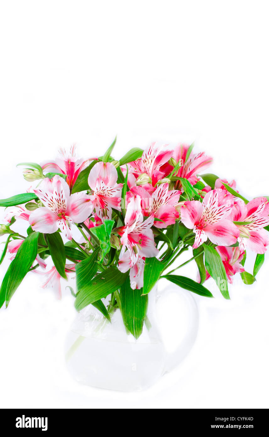 Pink wild orchids in glass vase Stock Photo