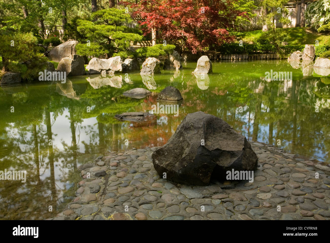 WA05530-00...WASHINGTON - Pond in the Japanese Garden section of Manito City Park in Spokane. Stock Photo
