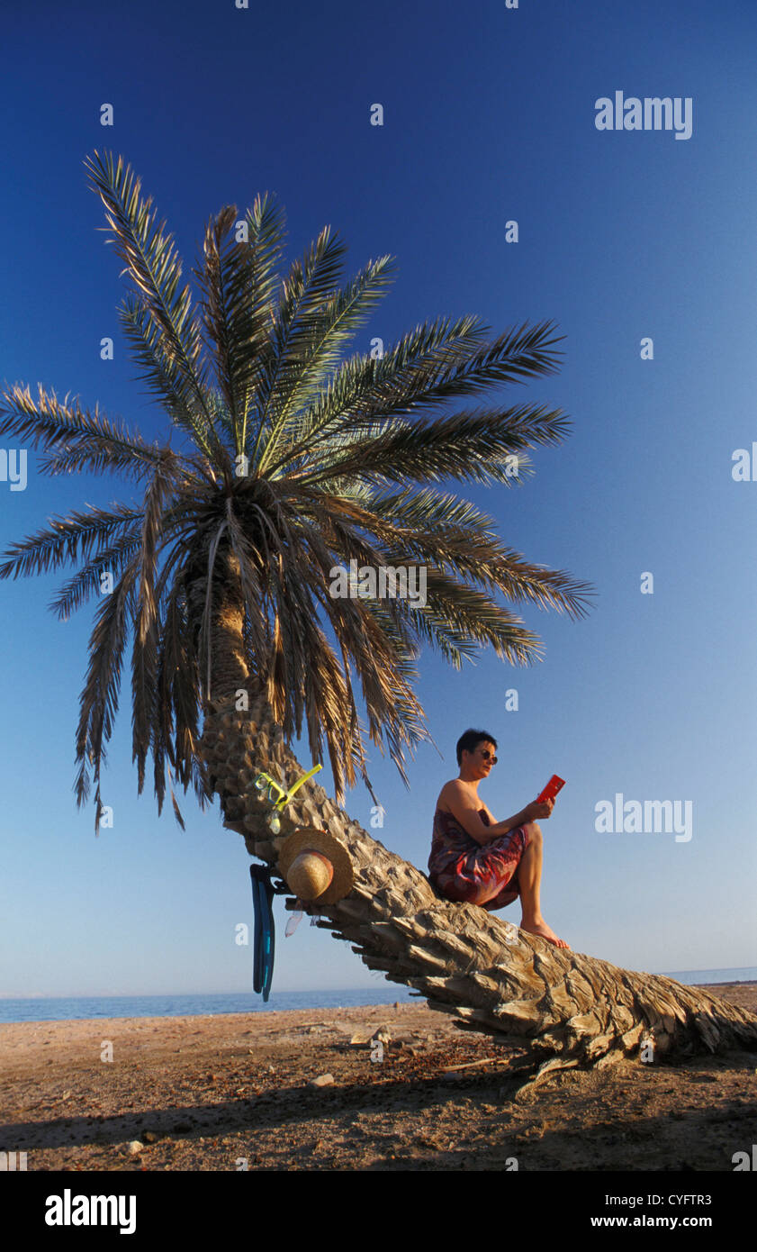 Egypt, Dahab, Red Sea, Sinai, tourist reading book on the beach. Palm trees. Stock Photo