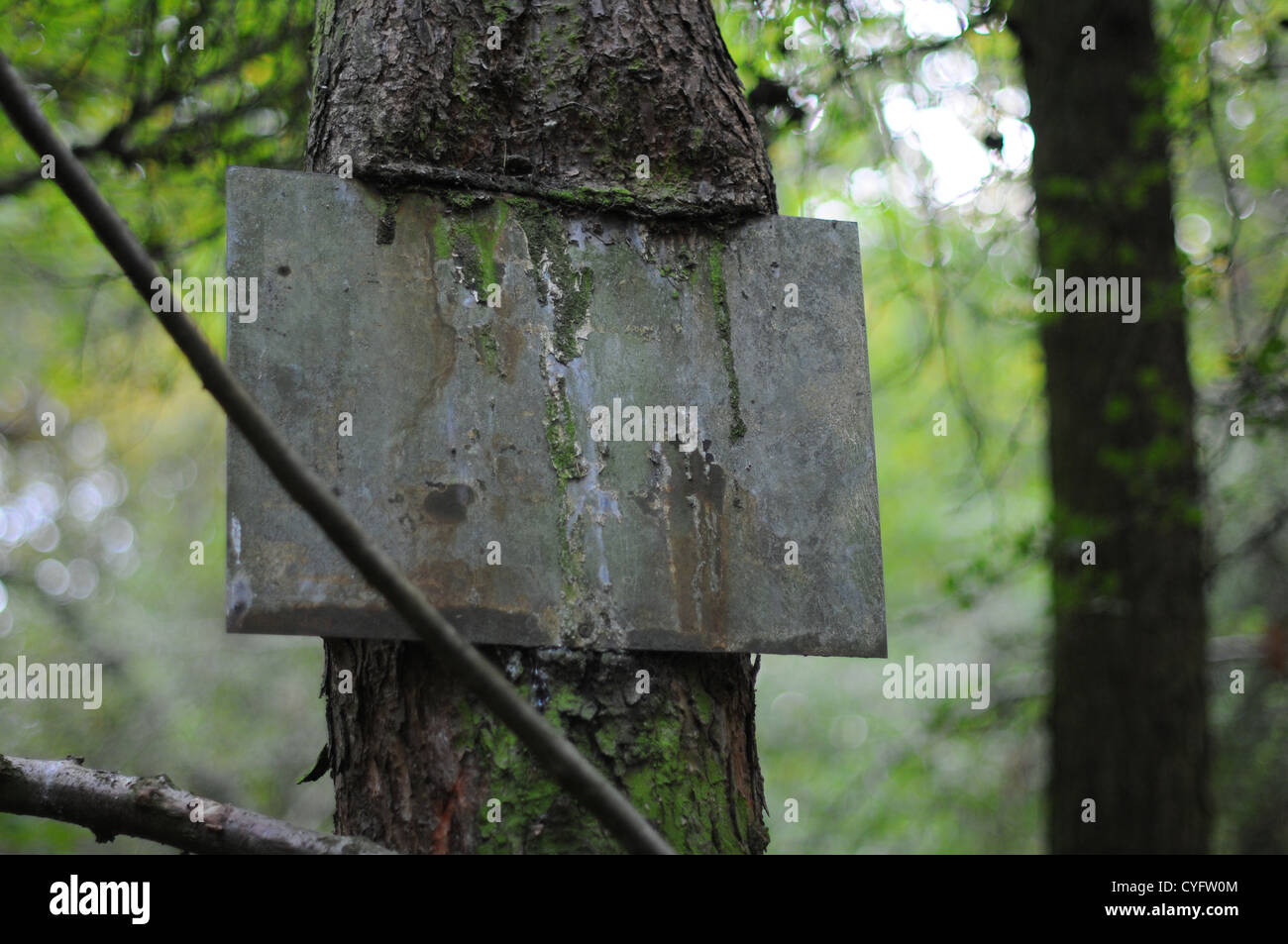 Decaying sign on edge of some woodland in England. Stock Photo