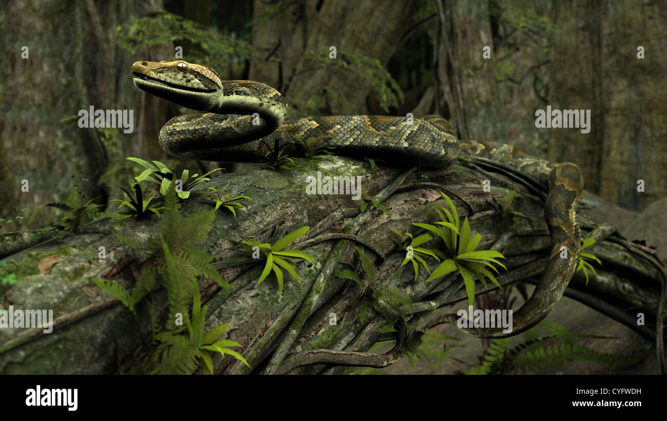 3d illustration of the green python snake in swamp water Stock Photo
