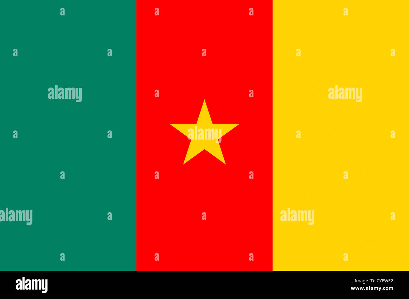 National flag of the Republic of Cameroon. Stock Photo
