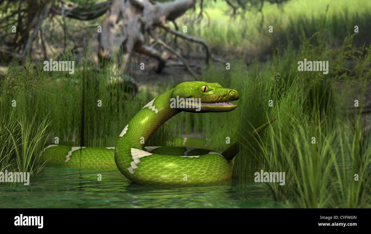 3d illustration of the green python snake in swamp water Stock Photo ...