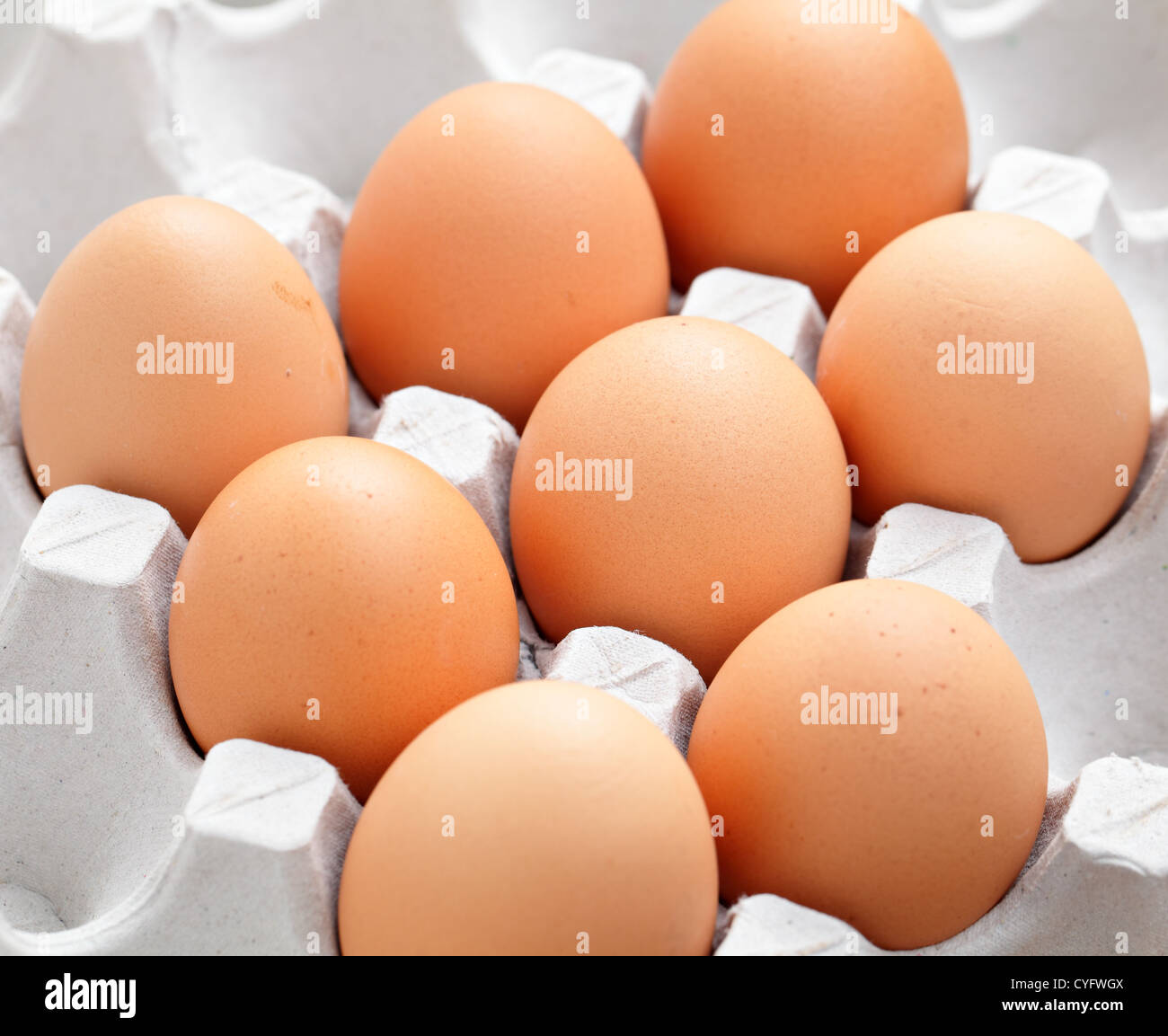 brown eggs in box Stock Photo - Alamy