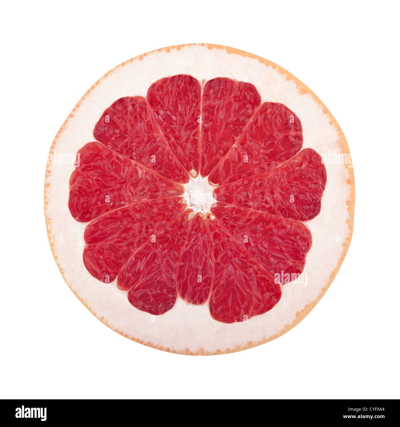 Slice of fresh juicy grapefruit with a thick rind Stock Photo